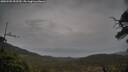 ./images/calvert/fitz-hugh-hecate/20250502/fitz-hugh-hecate20250502_092509M.jpg
