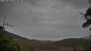 ./images/calvert/fitz-hugh-hecate/20250502/fitz-hugh-hecate20250502_093010M.jpg