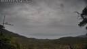 ./images/calvert/fitz-hugh-hecate/20250502/fitz-hugh-hecate20250502_093509M.jpg