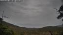 ./images/calvert/fitz-hugh-hecate/20250502/fitz-hugh-hecate20250502_094010M.jpg
