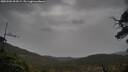 ./images/calvert/fitz-hugh-hecate/20250502/fitz-hugh-hecate20250502_094509M.jpg