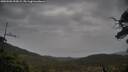./images/calvert/fitz-hugh-hecate/20250502/fitz-hugh-hecate20250502_095009M.jpg