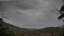 ./images/calvert/fitz-hugh-hecate/20250502/fitz-hugh-hecate20250502_095510M.jpg