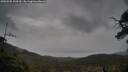 ./images/calvert/fitz-hugh-hecate/20250502/fitz-hugh-hecate20250502_100510M.jpg