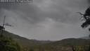 ./images/calvert/fitz-hugh-hecate/20250502/fitz-hugh-hecate20250502_101510M.jpg