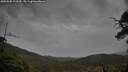 ./images/calvert/fitz-hugh-hecate/20250502/fitz-hugh-hecate20250502_102509M.jpg