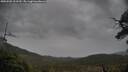 ./images/calvert/fitz-hugh-hecate/20250502/fitz-hugh-hecate20250502_103509M.jpg