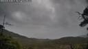 ./images/calvert/fitz-hugh-hecate/20250502/fitz-hugh-hecate20250502_104008M.jpg