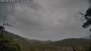 ./images/calvert/fitz-hugh-hecate/20250502/fitz-hugh-hecate20250502_104509M.jpg