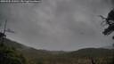./images/calvert/fitz-hugh-hecate/20250502/fitz-hugh-hecate20250502_105010M.jpg