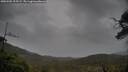./images/calvert/fitz-hugh-hecate/20250502/fitz-hugh-hecate20250502_105509M.jpg