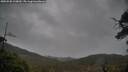 ./images/calvert/fitz-hugh-hecate/20250502/fitz-hugh-hecate20250502_110010M.jpg