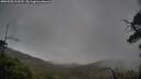 ./images/calvert/fitz-hugh-hecate/20250502/fitz-hugh-hecate20250502_110509M.jpg