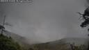 ./images/calvert/fitz-hugh-hecate/20250502/fitz-hugh-hecate20250502_111010M.jpg