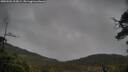 ./images/calvert/fitz-hugh-hecate/20250502/fitz-hugh-hecate20250502_112009M.jpg