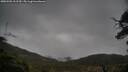 ./images/calvert/fitz-hugh-hecate/20250502/fitz-hugh-hecate20250502_112510M.jpg