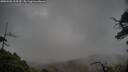 ./images/calvert/fitz-hugh-hecate/20250502/fitz-hugh-hecate20250502_113510M.jpg