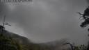 ./images/calvert/fitz-hugh-hecate/20250502/fitz-hugh-hecate20250502_114008M.jpg