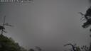 ./images/calvert/fitz-hugh-hecate/20250502/fitz-hugh-hecate20250502_114507M.jpg