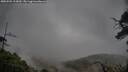 ./images/calvert/fitz-hugh-hecate/20250502/fitz-hugh-hecate20250502_115009M.jpg