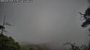 ./images/calvert/fitz-hugh-hecate/20250502/fitz-hugh-hecate20250502_115509M.jpg