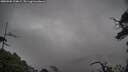 ./images/calvert/fitz-hugh-hecate/20250502/fitz-hugh-hecate20250502_120009M.jpg