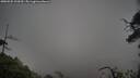 ./images/calvert/fitz-hugh-hecate/20250502/fitz-hugh-hecate20250502_120510M.jpg
