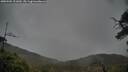 ./images/calvert/fitz-hugh-hecate/20250502/fitz-hugh-hecate20250502_121009M.jpg