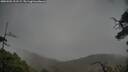 ./images/calvert/fitz-hugh-hecate/20250502/fitz-hugh-hecate20250502_121509M.jpg