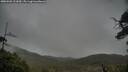./images/calvert/fitz-hugh-hecate/20250502/fitz-hugh-hecate20250502_122010M.jpg
