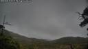./images/calvert/fitz-hugh-hecate/20250502/fitz-hugh-hecate20250502_122507M.jpg