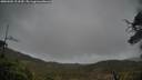 ./images/calvert/fitz-hugh-hecate/20250502/fitz-hugh-hecate20250502_123510M.jpg