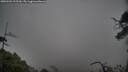 ./images/calvert/fitz-hugh-hecate/20250502/fitz-hugh-hecate20250502_125509M.jpg
