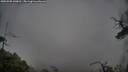 ./images/calvert/fitz-hugh-hecate/20250502/fitz-hugh-hecate20250502_130010M.jpg