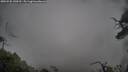 ./images/calvert/fitz-hugh-hecate/20250502/fitz-hugh-hecate20250502_130509M.jpg