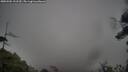 ./images/calvert/fitz-hugh-hecate/20250502/fitz-hugh-hecate20250502_131509M.jpg