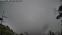 ./images/calvert/fitz-hugh-hecate/20250502/fitz-hugh-hecate20250502_132010M.jpg