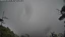 ./images/calvert/fitz-hugh-hecate/20250502/fitz-hugh-hecate20250502_132507M.jpg