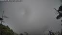 ./images/calvert/fitz-hugh-hecate/20250502/fitz-hugh-hecate20250502_133009M.jpg