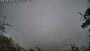 ./images/calvert/fitz-hugh-hecate/20250502/fitz-hugh-hecate20250502_133508M.jpg