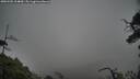 ./images/calvert/fitz-hugh-hecate/20250502/fitz-hugh-hecate20250502_134009M.jpg
