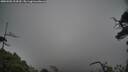 ./images/calvert/fitz-hugh-hecate/20250502/fitz-hugh-hecate20250502_134510M.jpg