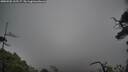 ./images/calvert/fitz-hugh-hecate/20250502/fitz-hugh-hecate20250502_135507M.jpg