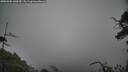 ./images/calvert/fitz-hugh-hecate/20250502/fitz-hugh-hecate20250502_140509M.jpg