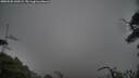 ./images/calvert/fitz-hugh-hecate/20250502/fitz-hugh-hecate20250502_142009M.jpg
