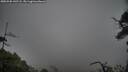 ./images/calvert/fitz-hugh-hecate/20250502/fitz-hugh-hecate20250502_142508M.jpg