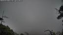 ./images/calvert/fitz-hugh-hecate/20250502/fitz-hugh-hecate20250502_143010M.jpg