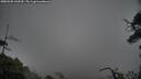 ./images/calvert/fitz-hugh-hecate/20250502/fitz-hugh-hecate20250502_143510M.jpg