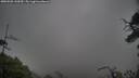 ./images/calvert/fitz-hugh-hecate/20250502/fitz-hugh-hecate20250502_145010M.jpg