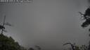 ./images/calvert/fitz-hugh-hecate/20250502/fitz-hugh-hecate20250502_145508M.jpg